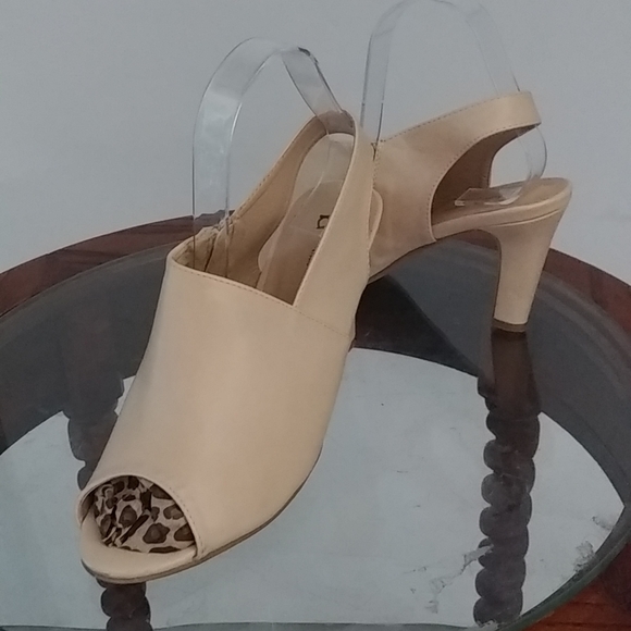 BOSTON DESIGN STUDIO - Picture 2 of 11